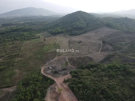 6.2 hecta, thực tế hơn 7 hecta, giá chỉ 650tr/ha, giá ngộp