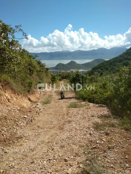 4,4 hecta rẫy View Biển Tân Đảo - Ninh Ích - Tx Ninh Hoà