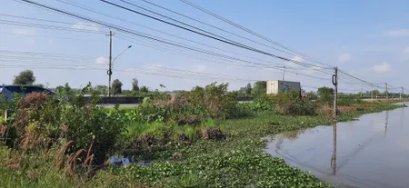 Bán  đất nông nghiệp 19116.6m² , giá 42 tỷ tại đường Xuyên Á, Xã An Thạnh, Huyện Bến Cầu, Tây Ninh