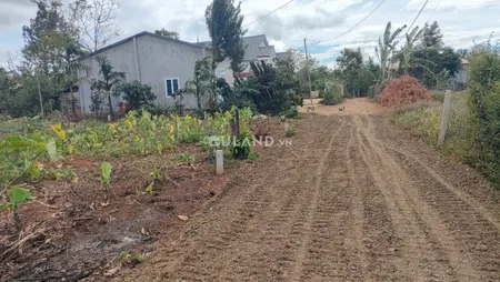 Lô đất 6*30 tc 60 giá bán 540 triệu , Ea Tiêu, Kuin