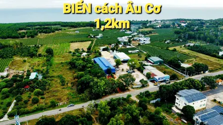 Hạ Giá Sốc-Đất MT 30m Âu Cơ-Tiến Thành-Phan Thiết-DT 4.000m2,có 100m2TC