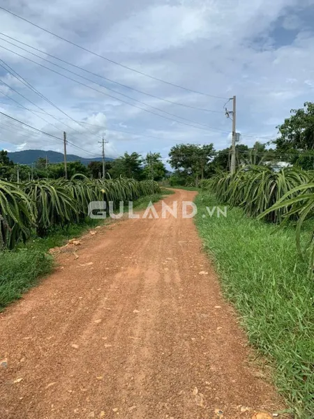 Cần Bán Đại Hạ Giá-Đất 2 MT đường,View Suối-Hàm Thạnh-Hàm Thuận Nam-DT 2,2Ha.