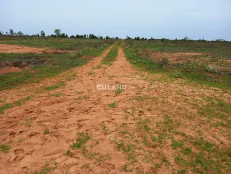 Bán đất 9400m² ngang 130m giá 5.6 tỷ tại Xã Thiện Nghiệp Thành phố Phan Thiết
