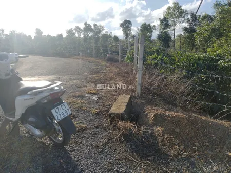 [1150tr] Bán đất nông nghiệp 4940m², dt 65*78 tại xã Cư Bao ( giá cũ chưa cập nhật)