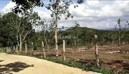 Bán đất 9700m² ngang 110m giá 9.7 tỷ tại Xã Hòa Thắng Thành phố Buôn Ma Thuột
