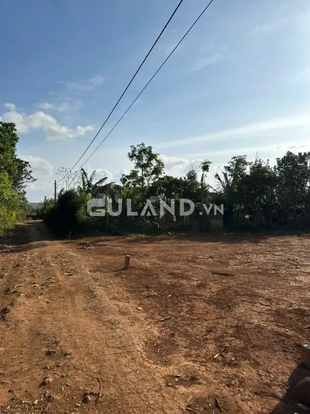 BÁN RẺ 5*30 TC 60 CHỐT 380 ko bao giấy tờ