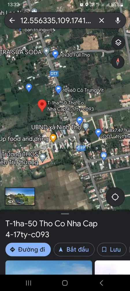 1ha ninh thọ