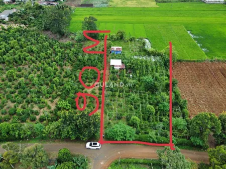 Bán lốc 6 lô 5*90 giá bán 110/1m