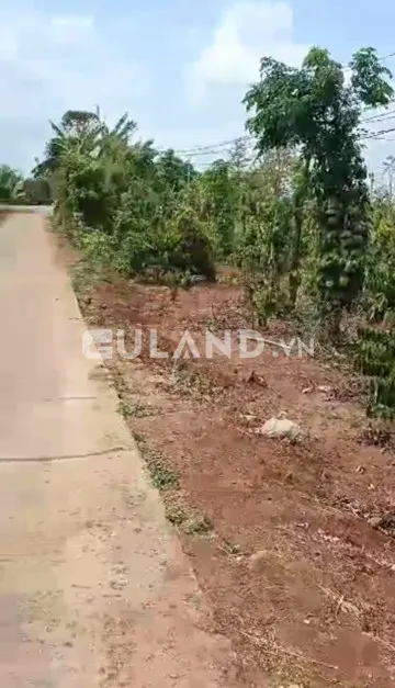🎯Bán đất nông nghiệp, dt 37*70 giá bán 880tr tại xã Cuôr KNia🎯