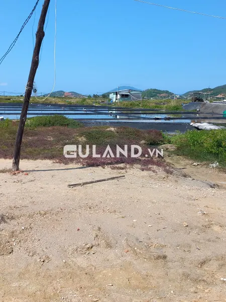 1430m2 Xuân Mỹ, HNK qh ODT, qh đường 26m