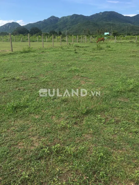 Đất giá rẻ