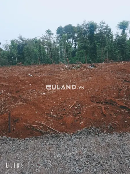 🎯Bán đất thổ cư, dt 6*26 tc 40 giá bán 499tr tại Thị Trấn Ea Pốk🎯