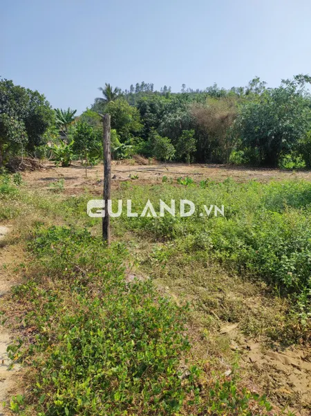 Chủ cắt bán Hoà Thiện 2, Ninh An, 17x23, 120 thổ giá đầu tư, qh full ODT