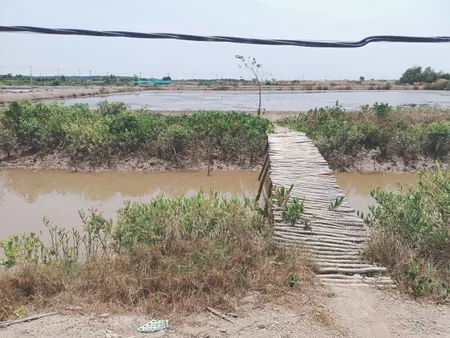 Bán  đất nông nghiệp 1400m² , giá 3.08 tỷ tại, Xã Lý Nhơn, Huyện Cần Giờ, TP. Hồ Chí Minh