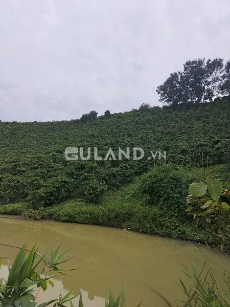 Ngộp quá ngộp