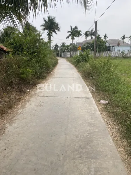Đại Tập Ninh Thân 7x31, 60tc, giá rẻ quá rẻ