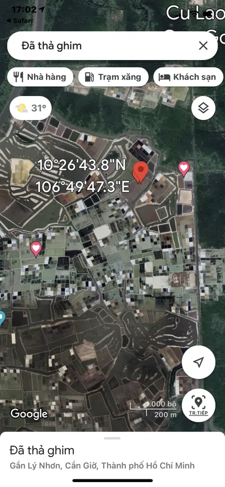 Bán  đất nông nghiệp 200000m² , giá 10.5 tỷ tại, Xã Lý Nhơn, Huyện Cần Giờ, TP. Hồ Chí Minh