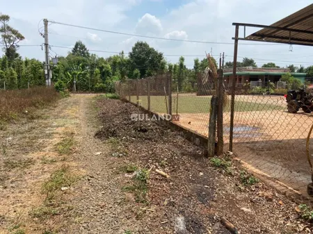 ĐẤT THÔN 3 CƯ SUÊ GIÁ RẺ