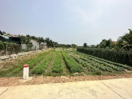 Văn Định, Ninh Đông, 6x28, 60 thổ, bê tông