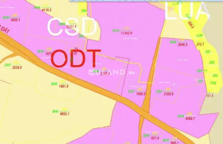 Nông Trường, Ninh Sim 1656m2, CLN qh full thổ, có cắt bán lô nhỏ