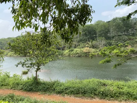 Bán  đất nông nghiệp 320000m² , giá 30 tỷ tại, Xã Nam Bình, Huyện Đắk Song, Đắk Nông