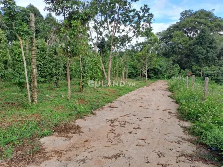 Bán Đất Nông Nghiêp 100*75 tại hòa thắng giá 600/ 1 sào CẦN BÁN 9186,m2 SÀO ĐẤT HẺM  ĐƯỜNG 19/5. GẦN LINH SƠN CHÙA BÀ. TP. BMT