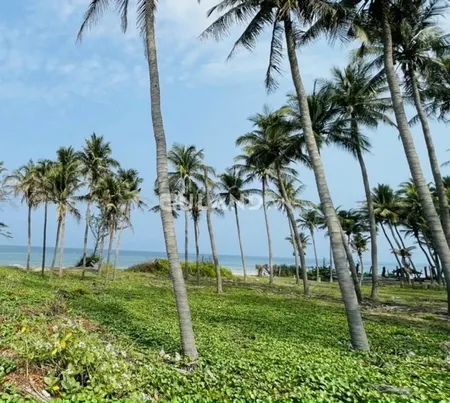 Đại Hạ Giá-Đất MT Biển,MT Huỳnh Thúc Kháng-Hàm Tiến-Phan Thiết-DT 1.046m2
