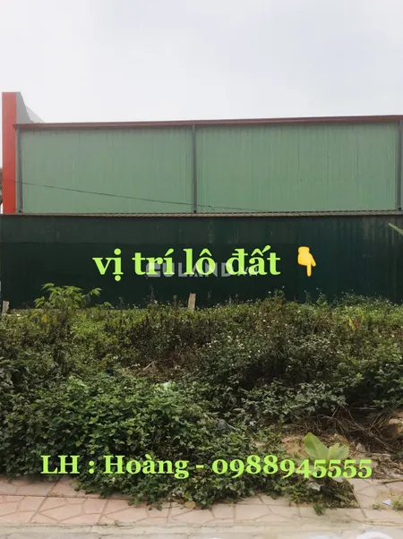 💥Giá Rẻ💥Bán đất Tây Sở Điện đối diện BigC,Hồng Hải,Hạ Long