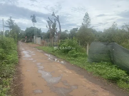 Bán đất 711m² ngang 15m giá 4.5 tỷ tại Xã Hòa Thắng Thành phố Buôn Ma Thuột