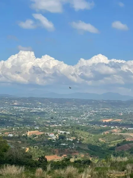Bán  đất nông nghiệp 5000m² , giá 1.8 tỷ tại, Xã Đông Thanh, Huyện Lâm Hà, Lâm Đồng