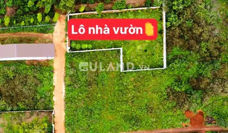 BÁN LÔ NHÀ VƯỜN 3 SỔ 800MV 200 TC GIÁ BÁN 4.18 TỶ TẠI HÒA THẮNG