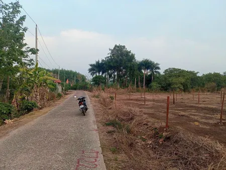 Bán đất chính chủ bán lỗ 50% giá chỉ 250 triệu