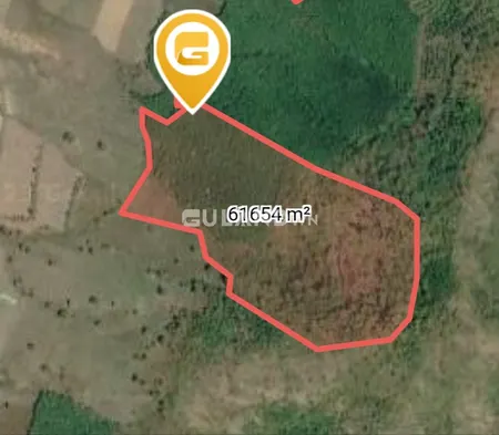 Bán đất nông nghiệp, triền đồi thấp, giá rẻ