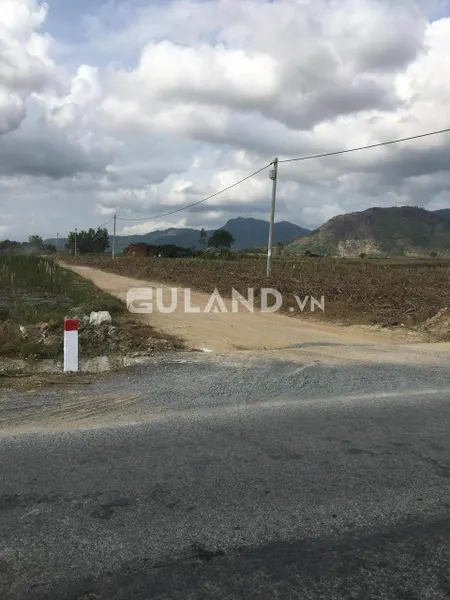 Bán đất 10000m² ngang 61m giá 3.9 tỷ tại Xã Ninh Xuân Thị xã Ninh Hòa