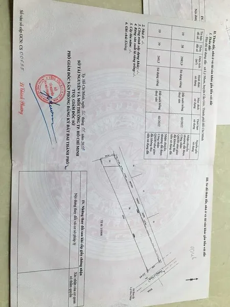 Bán  đất nông nghiệp 66000m² , giá 132 tỷ tại đường Lý Nhơn, Xã Lý Nhơn, Huyện Cần Giờ, TP. Hồ Chí Minh
