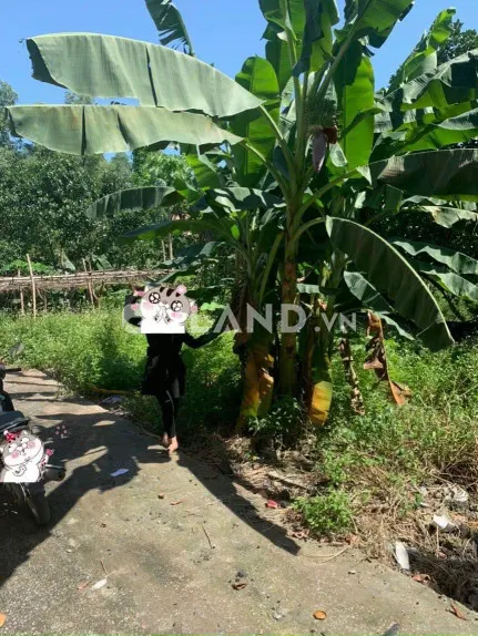 💥Bán đất dốc giao thông cột 8,Hà Tu Hạ Long