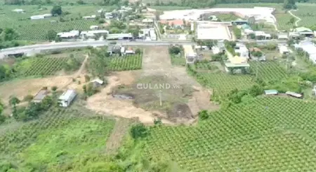 Bán đất mẫu mặt tiền đường nhựa
