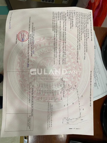 Bán gấp đất lúa huyện nhà bè giá 900 triệu/1000mv