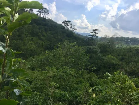 Bán  đất nông nghiệp 12000m² , giá 14.4 tỷ tại, Xã Xuân Trường, Thành phố Đà Lạt, Lâm Đồng