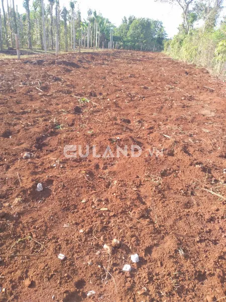 BÁN ĐẤT CHÍNH CHỦ ĐƯỜNG 10KC HOÀ THUẬN GIÁ BÁN 1.5 TỶ