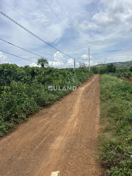 Cần bán lô đất làm farm, nghỉ dưỡng
