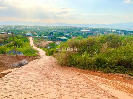 Giảm sập sàn 40%