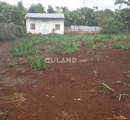 🌳 BÁN ĐẤT CAO THẮNG – XÃ EA KAO – TP. BUÔN MA THUỘT – 853M² GIÁ CHỈ 2.4 TỶ