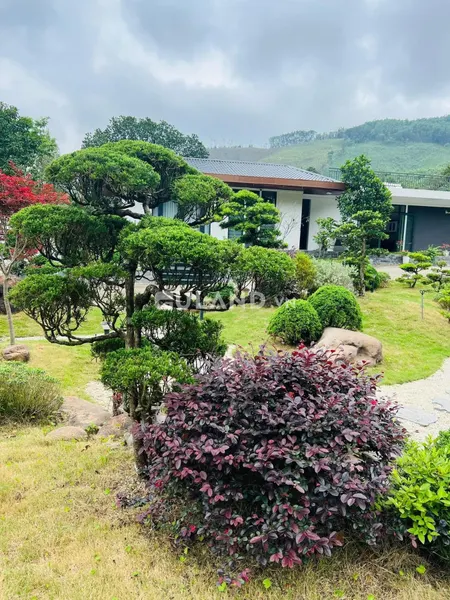 BÁN NHÀ VƯỜN NGHỈ DƯỠNG TẠI HUYỆN HOÀNH BỒ CŨ