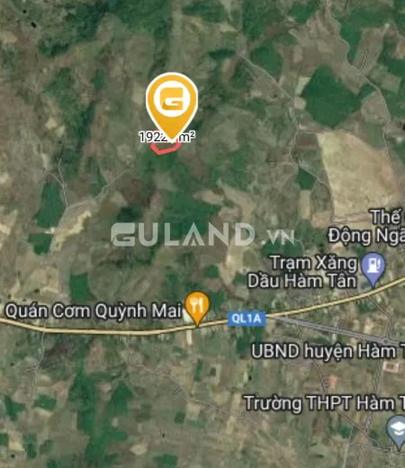 Bán đất nông nghiệp thị trấn Tân Nghĩa