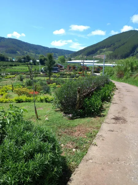 Bán  đất nông nghiệp 14000m² , giá 2.17 tỷ tại, Xã Phú Sơn, Huyện Lâm Hà, Lâm Đồng