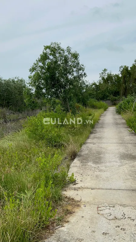 Bán  đất nông nghiệp 3200m² , giá 12,8  tỷ tại, Xã Long Hòa, Huyện Cần Giờ, TP. Hồ Chí Minh