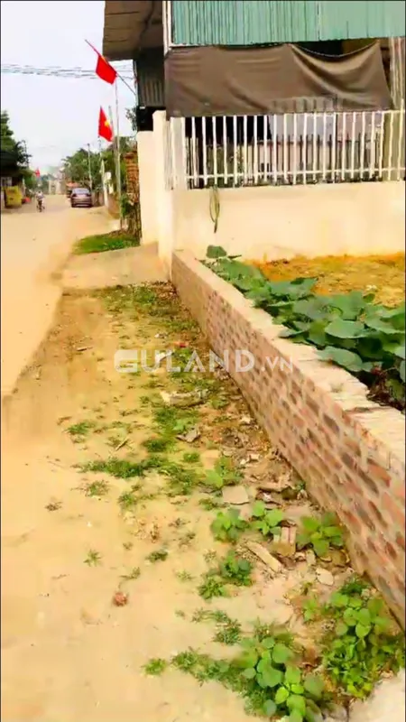 Bán đất 318m² ngang 8m giá 8.6666 tỷ tại Xã Hòa Thạch Huyện Quốc Oai