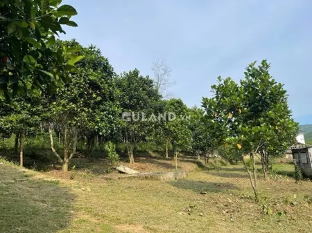 Bán Đất Nhà Vườn Trang Trại