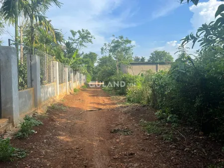 EA TIÊU- BUÔN EGA - 7.35*21 Bán 270 BL